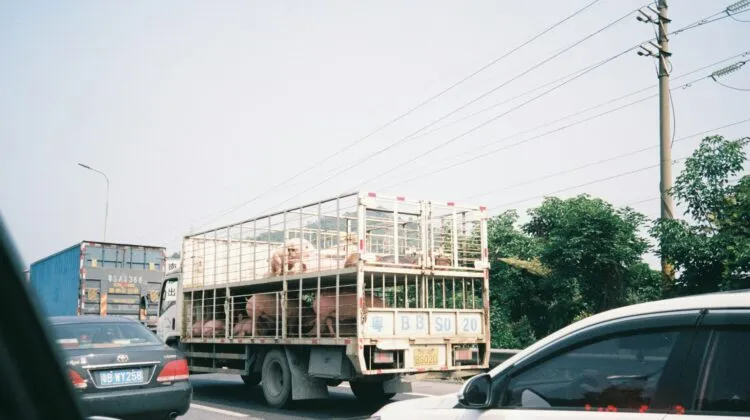 Truck in Malaysia (illustration).